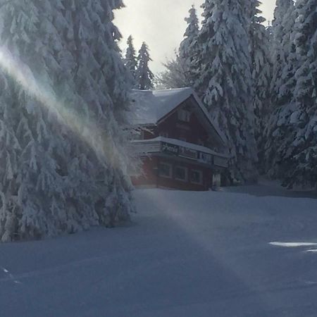 Hotel Auerhahn Feldberg  Exteriér fotografie