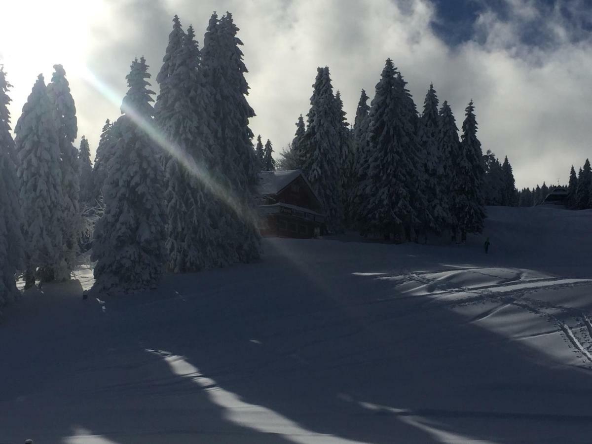 Hotel Auerhahn Feldberg  Exteriér fotografie