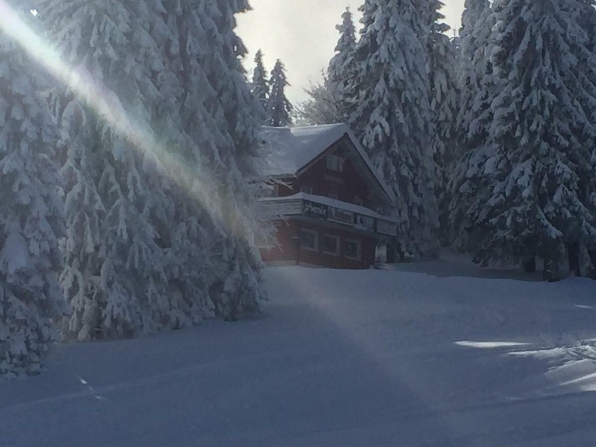 Hotel Auerhahn Feldberg  Exteriér fotografie